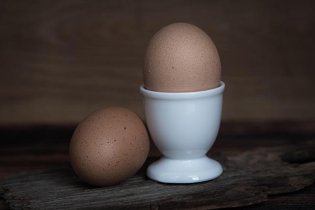 CoQ10 and Egg Quality: Can It Reverse Ovarian Aging?