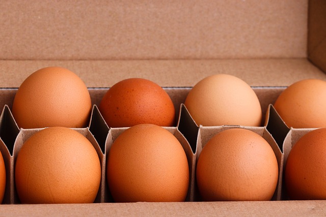 CoQ10 and Egg Quality: Can It Reverse Ovarian Aging?