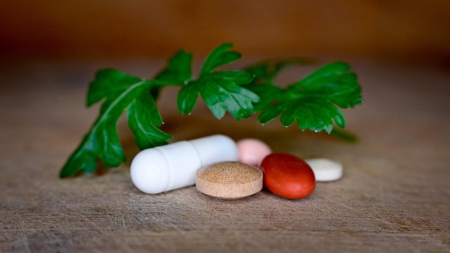 How Antibiotics Disrupt the Estrobolome and Affect Your Cycle