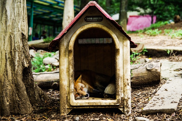 The Impact of Sleep Deprivation on Female Metabolic Health