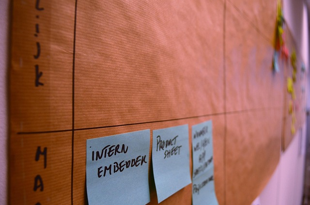 The Minimum Effective Dose of Exercise for Female Longevity